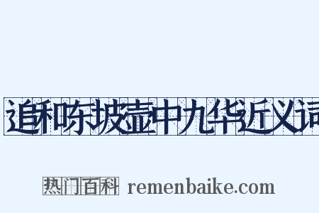 追和东坡壶中九华近义词是什么意思的图片